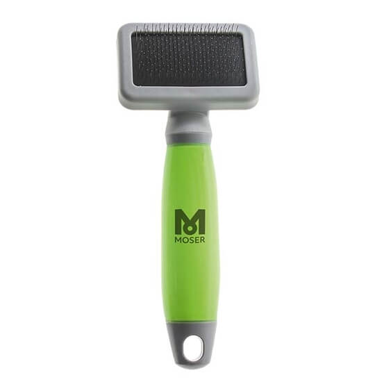 BROSSE CARDE PETITE TAILLE