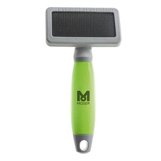 BROSSE CARDE MOYENNE TAILLE 