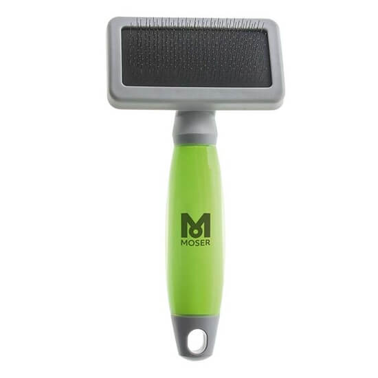 BROSSE CARDE MOYENNE TAILLE