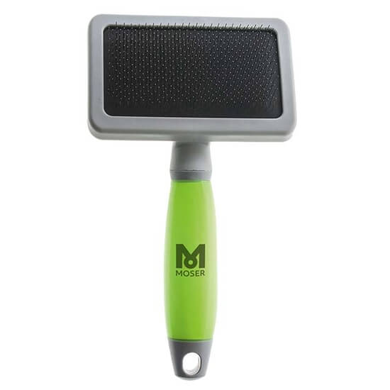 BROSSE CARDE GRANDE TAILLE